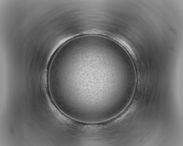 X0000111861000200907301127