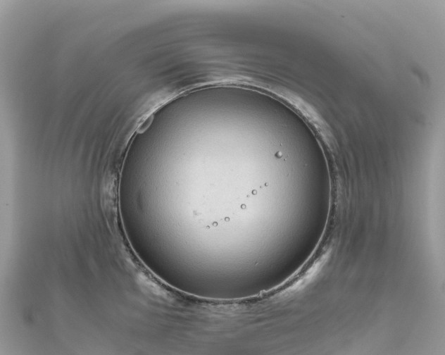 X0000111861001200907301127