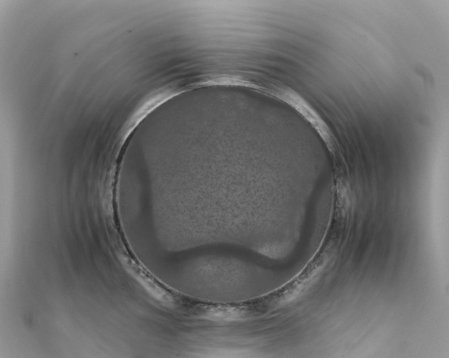 X0000111861002200907301127