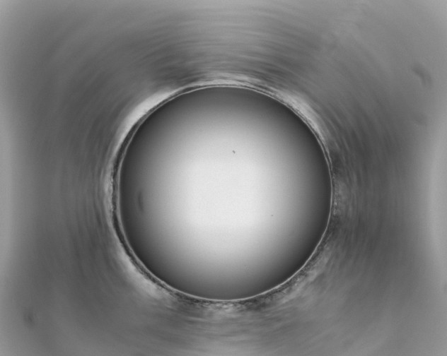 X0000111861003200907301127