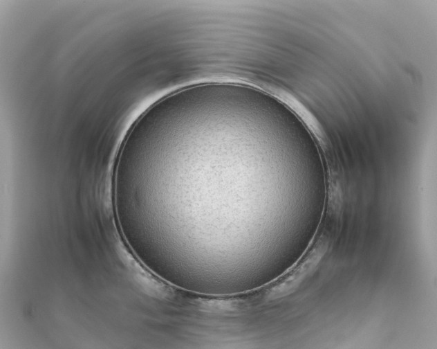 X0000111861004200907301127