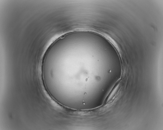 X0000111861005200907301127