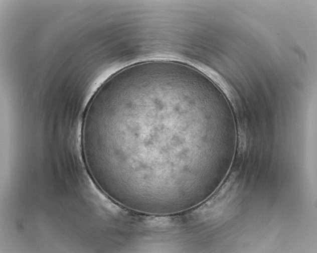 X0000111861006200907301127