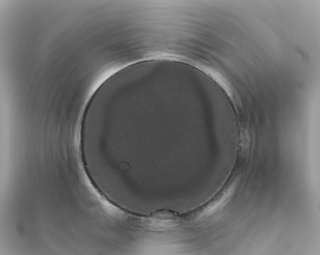 X0000111861007200907301127