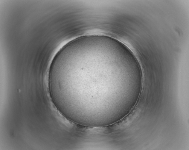 X0000111861008200907301127