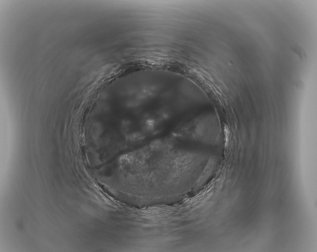 X0000111861009200907301126