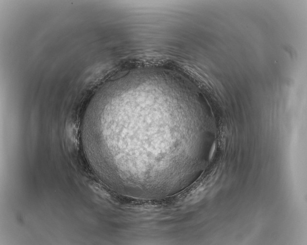 X0000111861010200907301126