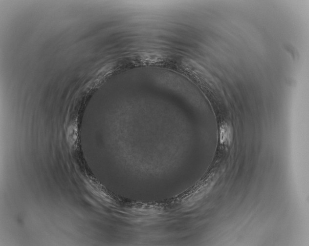 X0000111861011200907301127