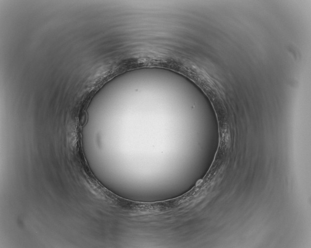 X0000111861012200907301127