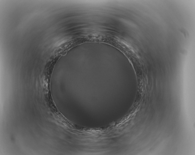 X0000111861013200907301127