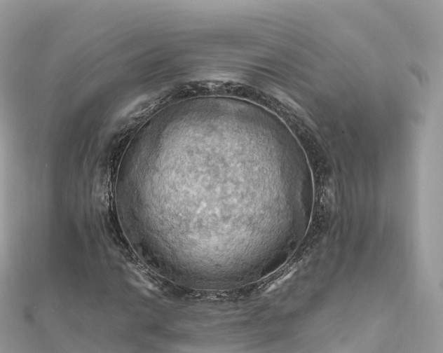 X0000111861014200907301127