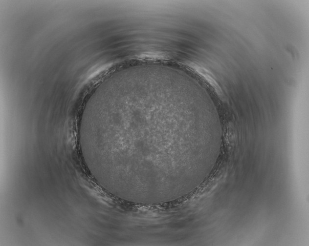 X0000111861015200907301127