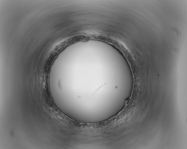 X0000111861016200907301127