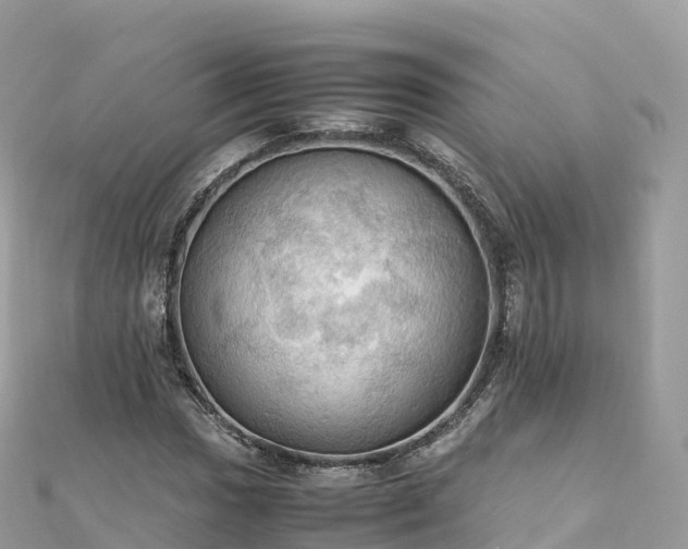 X0000111861017200907301127