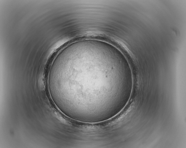 X0000111861018200907301127