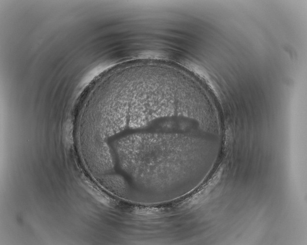 X0000111861019200907301127