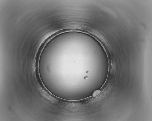 X0000111861020200907301127