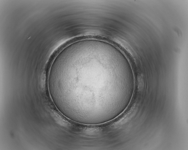 X0000111861021200907301127