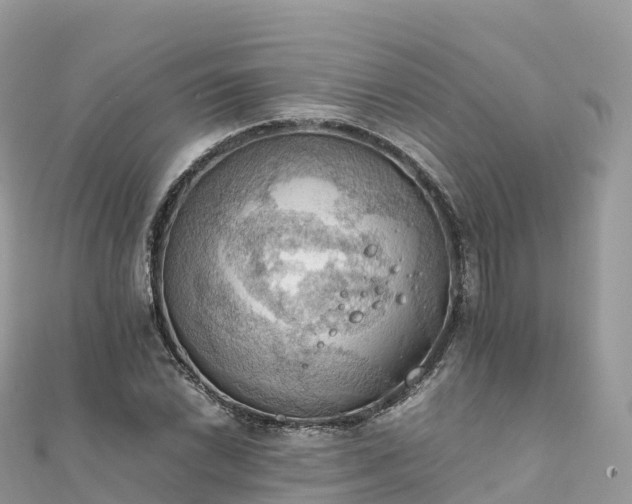 X0000111861022200907301127