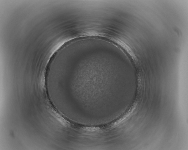 X0000111861023200907301127