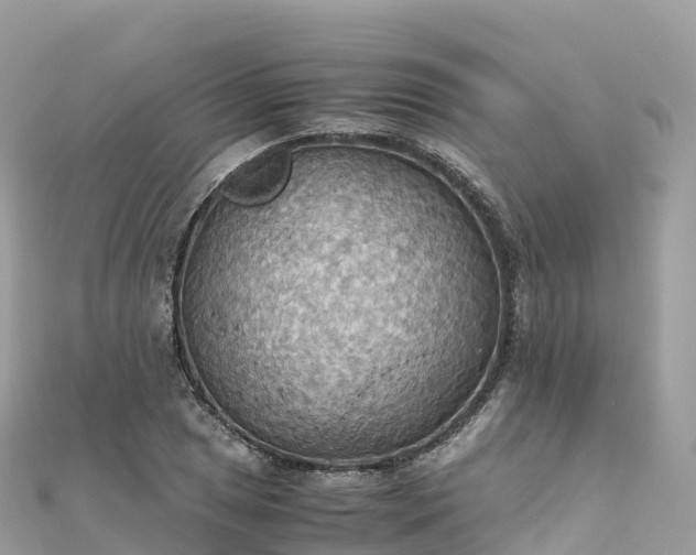 X0000111861025200907301127