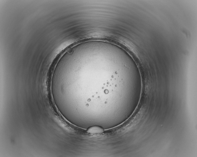 X0000111861026200907301127