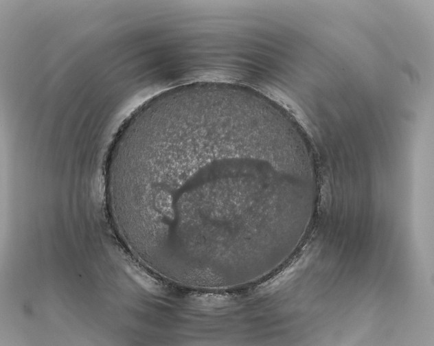 X0000111861027200907301127