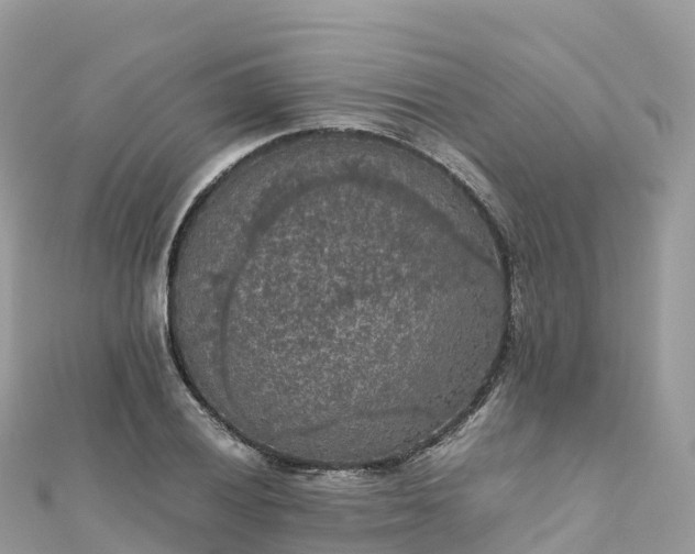 X0000111861028200907301127