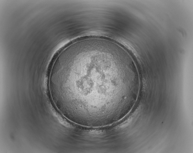 X0000111861029200907301127