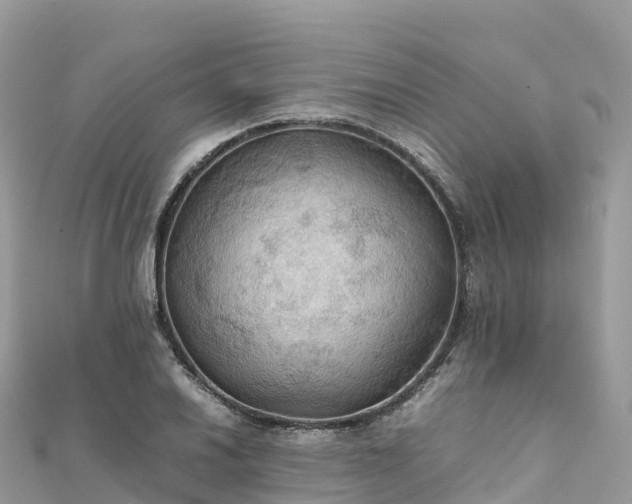 X0000111861030200907301127