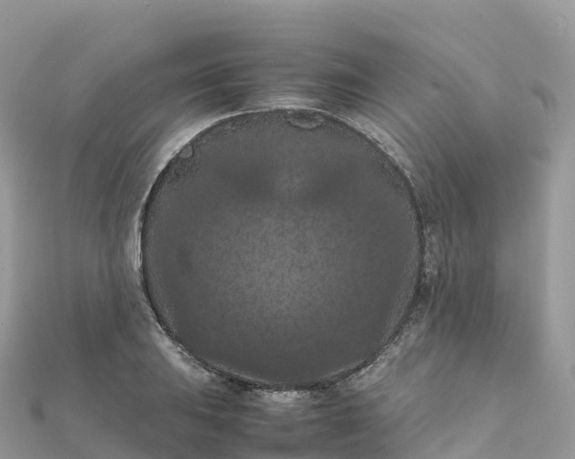 X0000111861031200907301127