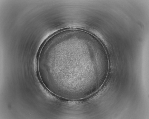 X0000111861032200907301127