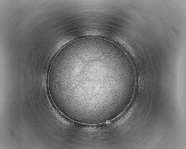 X0000111861033200907301127