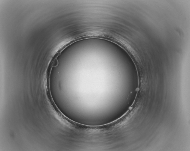 X0000111861034200907301127