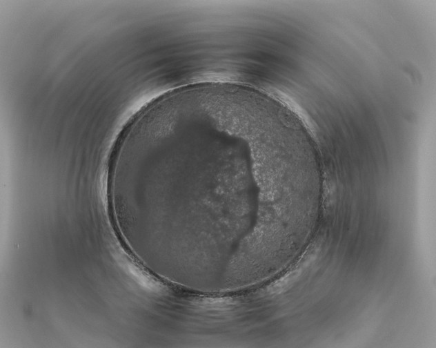 X0000111861035200907301127