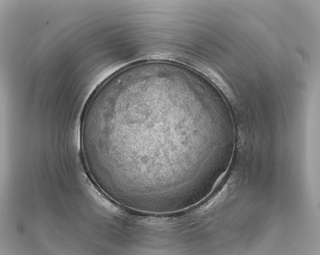 X0000111861036200907301127