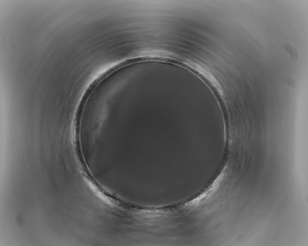 X0000111861037200907301127