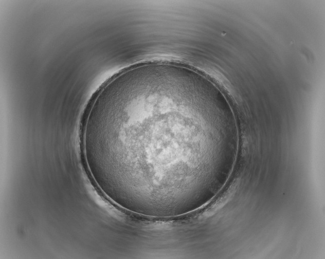 X0000111861038200907301127