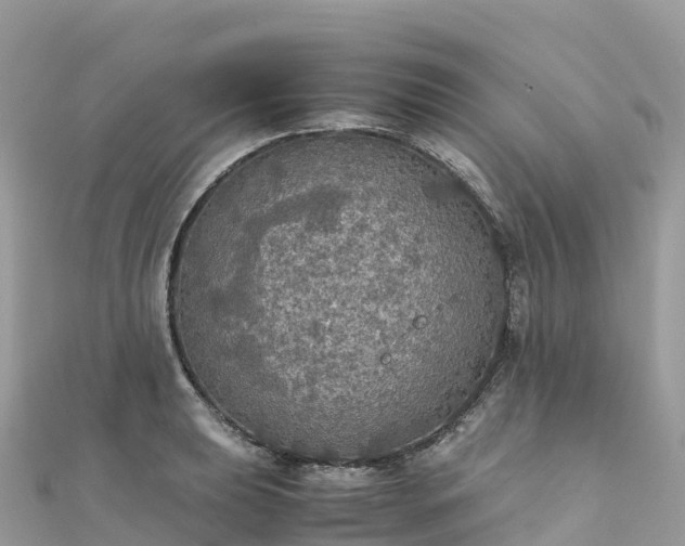 X0000111861039200907301127