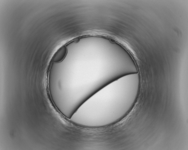 X0000111861040200907301127