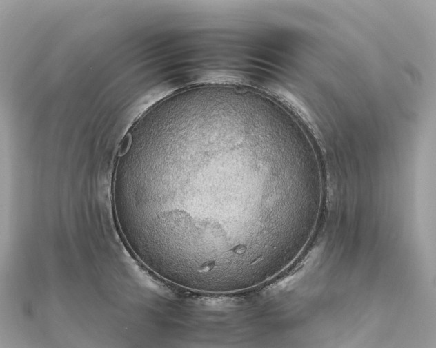 X0000111861041200907301127