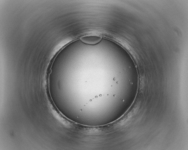 X0000111861042200907301127