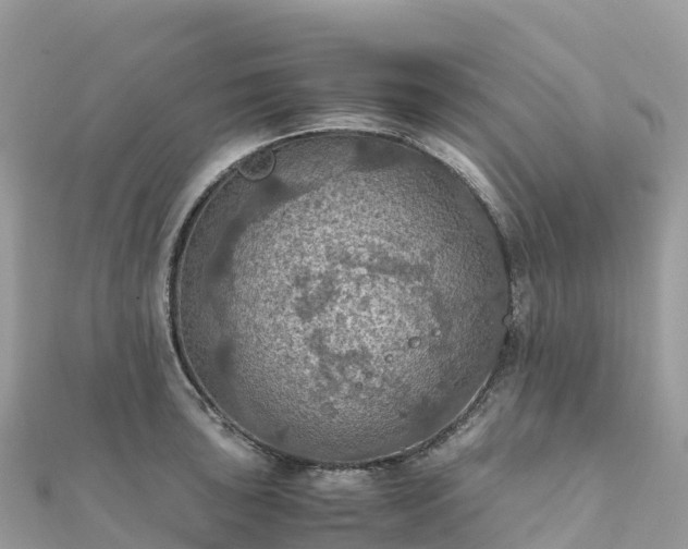 X0000111861043200907301127