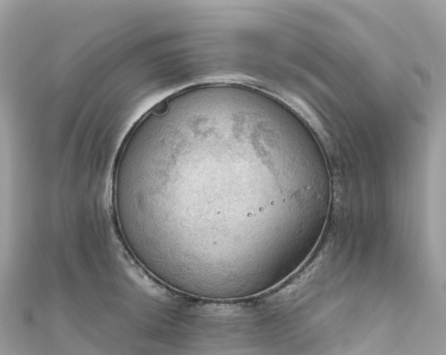 X0000111861044200907301127