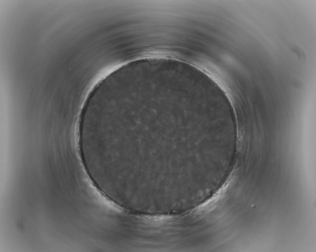 X0000111861045200907301127