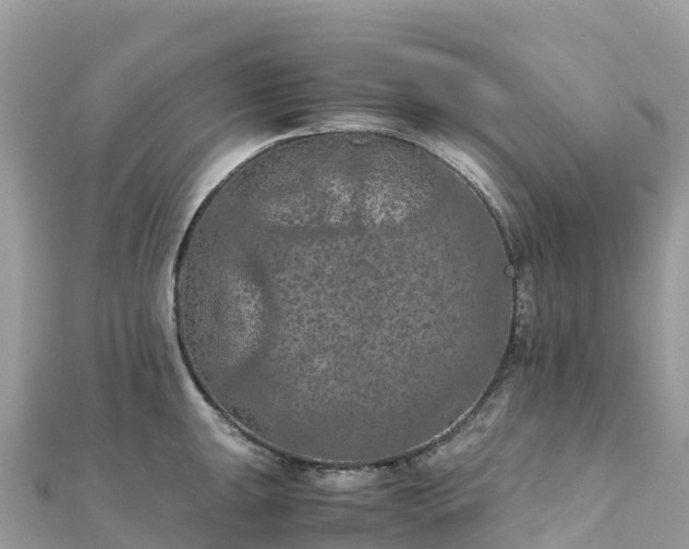 X0000111861047200907301127