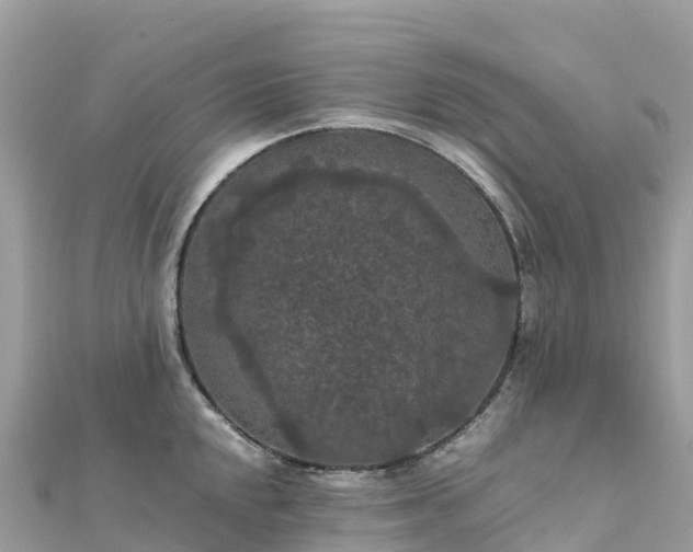 X0000111861048200907301127