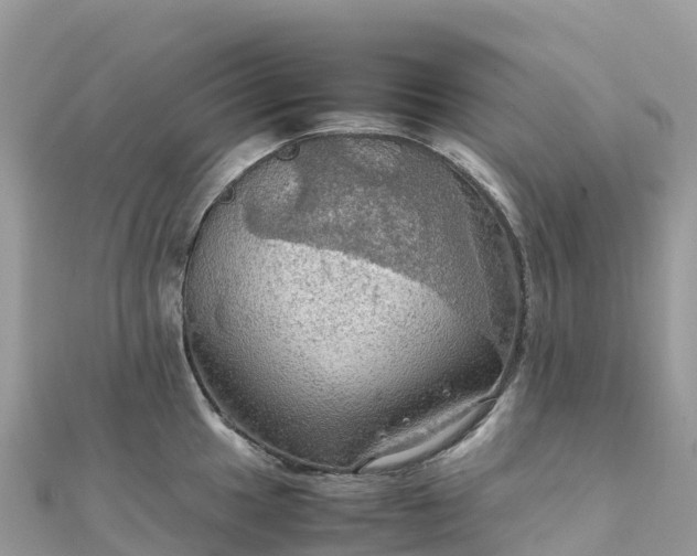 X0000111861049200907301127