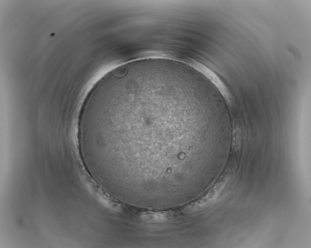 X0000111861051200907301127