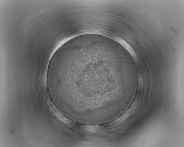 X0000111861052200907301127